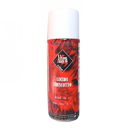 Lucida cruscotto professionale spray 400 ml Lady's Line® antipolvere HomeLADY'S LINE®